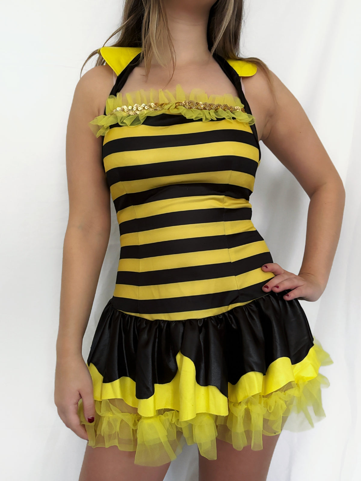 Vintage Leg Avenue Queen Bumblebee Costume
